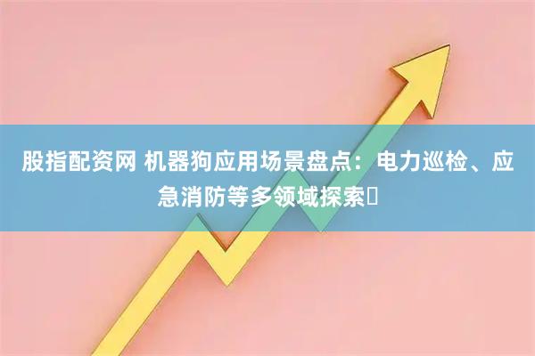 股指配资网 机器狗应用场景盘点：电力巡检、应急消防等多领域探索​